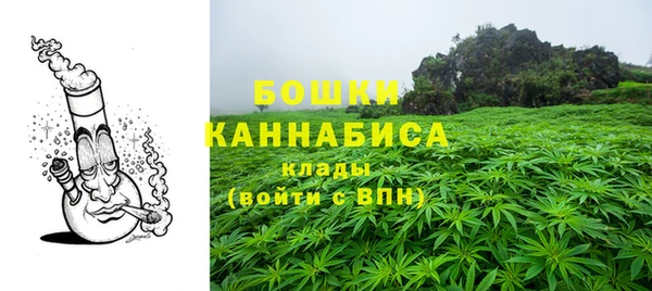 прущие грибы Красноперекопск