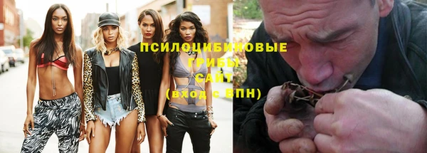 шишки Абинск