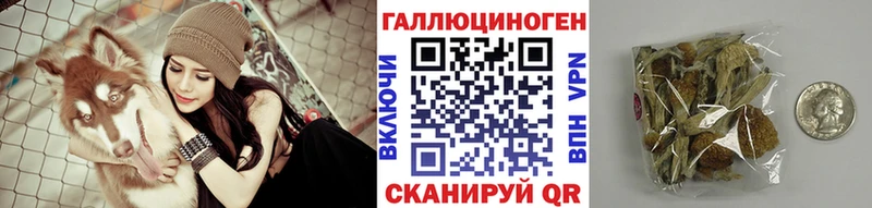 наркота  Юрга  Псилоцибиновые грибы MAGIC MUSHROOMS 